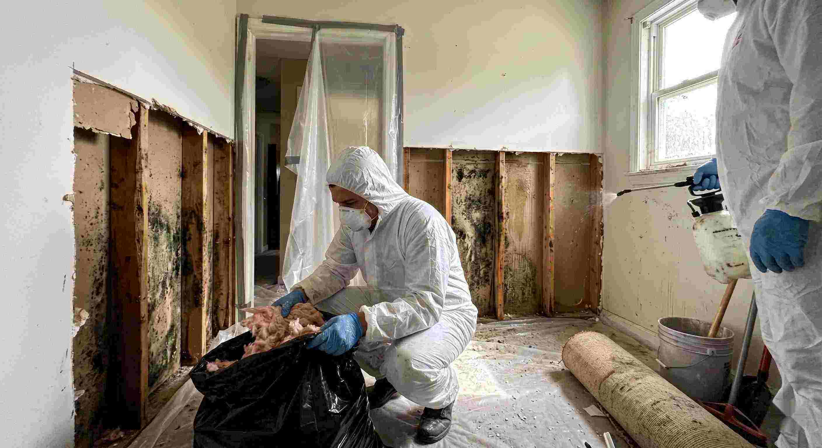 Trusted mold remediation services removing mold behind wall in home in Kansas City